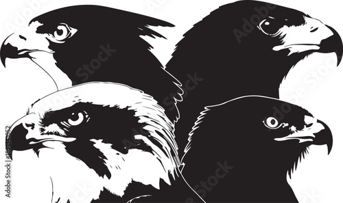 Four Different Eagle Heads in Black and White Line bird profile