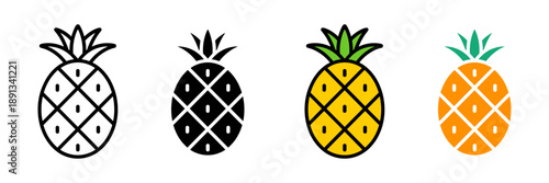 Collection of pineapple icon set. vector illustration