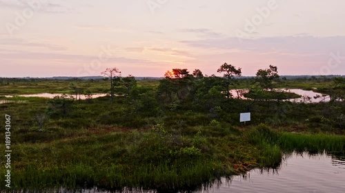 Calm bog aerial view in the sunset