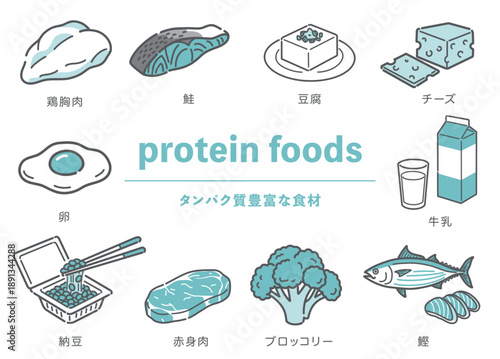 タンパク質が豊富な食材のイラストセット（肉・魚・豆・乳製品・野菜）