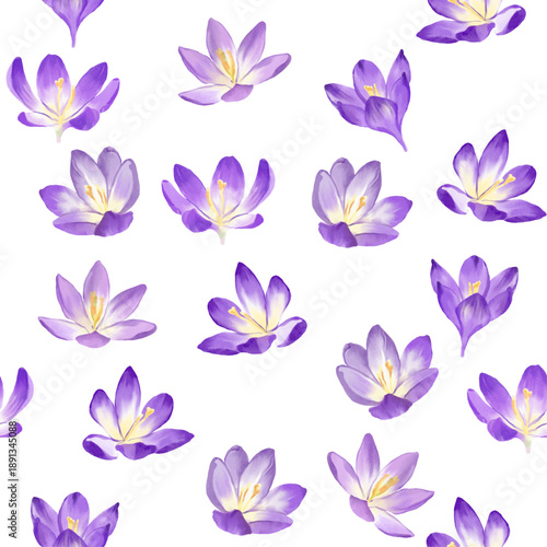 seamless continuous pattern of spring white and lilac crocuses on a transparent background