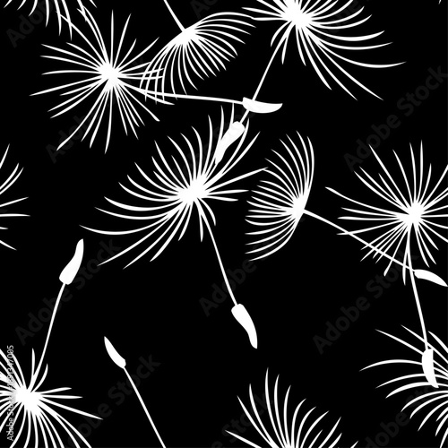 seamless continuous pattern of down with white dandelion seeds on a black  background.eps