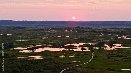 Beatiful aerial view to the bog