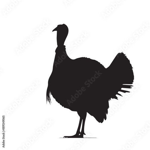 Vector illustration of turkey silhouette.