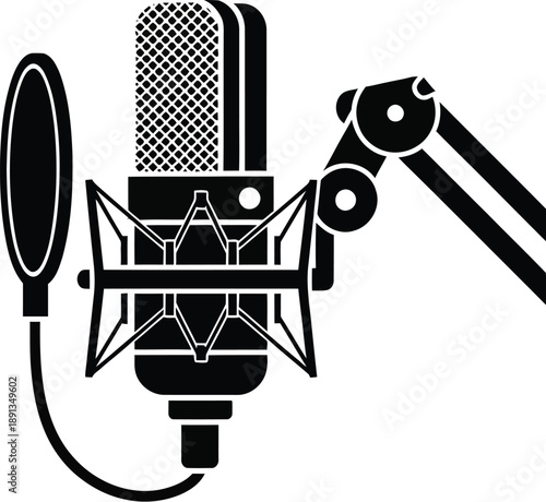 Professional studio condenser microphone with a shock mount for high-quality audio recording, podcasting, streaming, and voiceovers. 