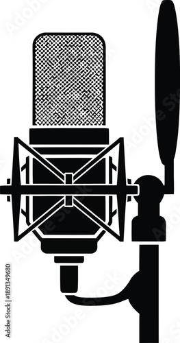 Professional studio condenser microphone with a shock mount for high-quality audio recording, podcasting, streaming, and voiceovers. 