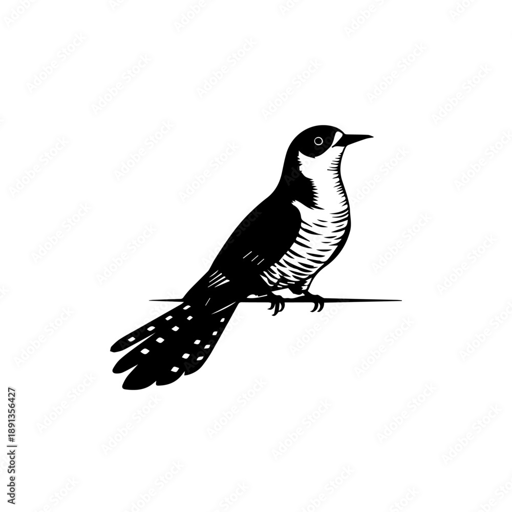 Fototapeta premium Bird perched on wire, illustration of magpie in profile view