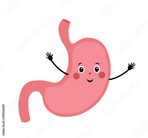 Stomach with face and hands on white background