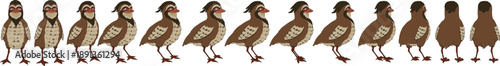 Long row of quail chicks following parents, marching bird family vector art, cute wildlife illustration, perfect for nature, farm, children illustration and educational projects.