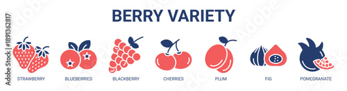 Berry Variety web banner icon vector illustration concept with icon of strawberry, blueberries, blackberry, cherries, plum, fig, and pomegranate.