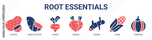 Root Essentials web banner icon vector illustration concept with icon of potato, sweet potato, turnip, radish, ginger, corn, and pumpkin.
