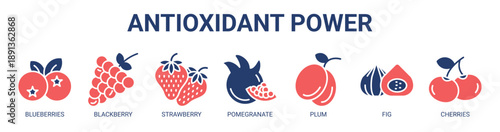 Antioxidant Power web banner icon vector illustration concept with icon of blueberries, blackberry, strawberry, pomegranate, plum, fig, and cherries.