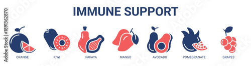 Immune Support web banner icon vector illustration concept with icon of orange, kiwi, papaya, mango, avocado, pomegranate, and grapes.