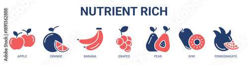 Nutrient Rich web banner icon vector illustration concept with icon of apple, orange, banana, grapes, pear, kiwi, and pomegranate.