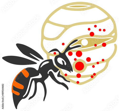 Frelon asiatique : destruction de nid