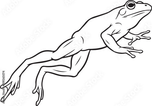 Dynamic black and white line art illustration of a frog caught mid-leap across a blank background