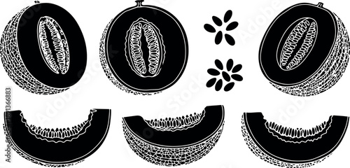 Black and white vector art showcasing detailed melon fruit halves slices and seeds isolated on light background with intricate textures