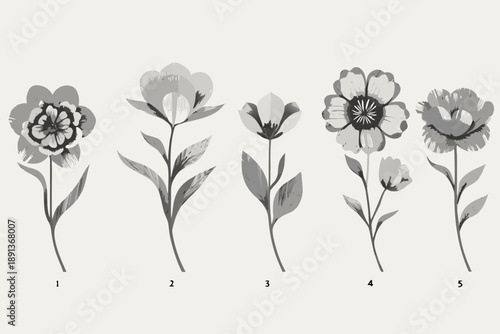 A grayscale botanical illustration featuring five different flower varieties