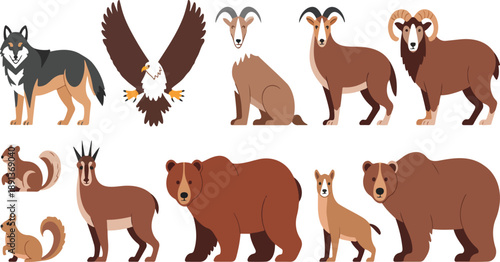 Wild Animal Characters Vector Set – Wolves, Eagles, Chamois, Marmots, and Bears