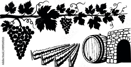 Black silhouette grapevine with clusters over detailed vineyard rows and rustic wine barrel next to brick cellar entrance vintage vector art
