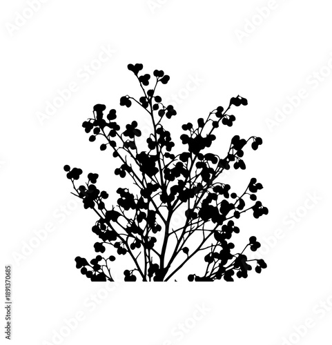Black and White Botanical Silhouette