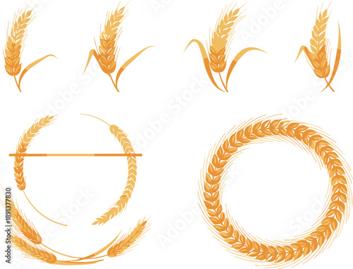 Golden wheat ears and circular wreath elements collection for agriculture harvest design vector illustration