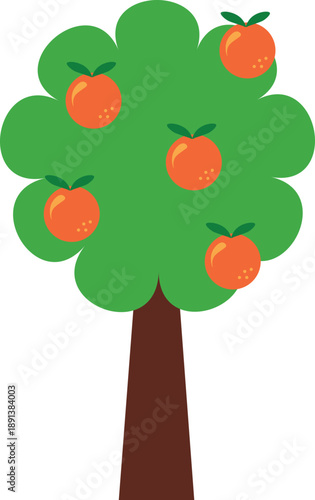 Orange tree vector illustration with ripe fruits. Suitable for agriculture, gardening, organic food, farming, nature, healthy lifestyle, children illustrations, education, and eco-friendly concepts.