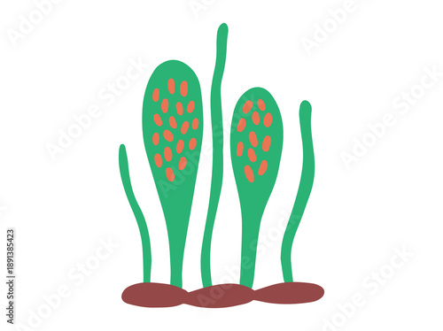 Hand Drawn Mold Ascospores Fungus
