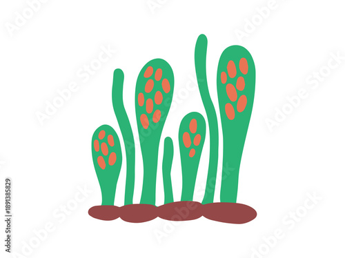 Spore Ascospores Fungus Clip Art
