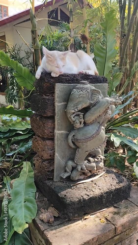 Wallpaper Mural A cat standing on a statue of Ganesha. Torontodigital.ca