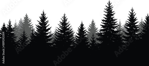 Vector illustration of layered coniferous tree silhouettes in black and gray tones forming dense forest on white background