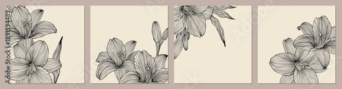 banner background of creative minimalist hand draw illustrations floral black and white outline lily for wall decoration, postcard or brochure cover design, banner beauty web cite