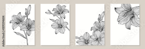 banner background of creative minimalist hand draw illustrations floral black and white outline lily for wall decoration, postcard or brochure cover design, banner beauty web cite.