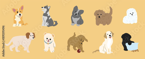 charming collection of cute dog breed illustrations