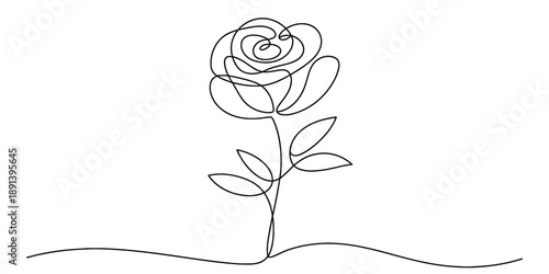 A simple continuous line art drawing of a single rose flower with stem and leaves Vector, illustration