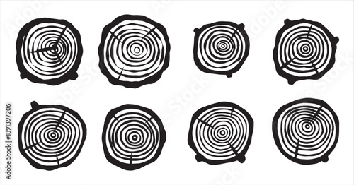cut tree trunk stump cross section concentric circular