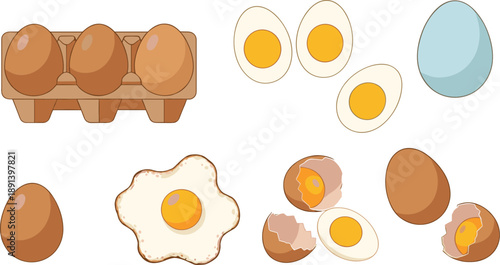 Egg vector set with whole, cracked, boiled and fried eggs in carton for breakfast food illustration