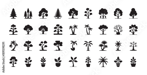 Trees silhouette collection with different forest and park plant species in black isolated on white