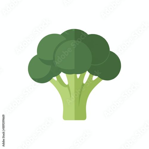 Green Broccoli Illustration