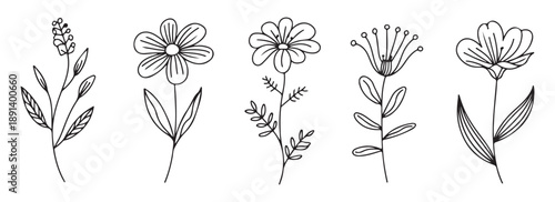 Collection of simple line art flowers and floral elements for natural decoration and design projects