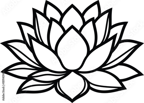 Lotus flower illustration