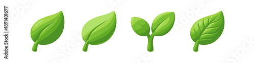 Four green leaves representing growth stages from seedling to mature plant