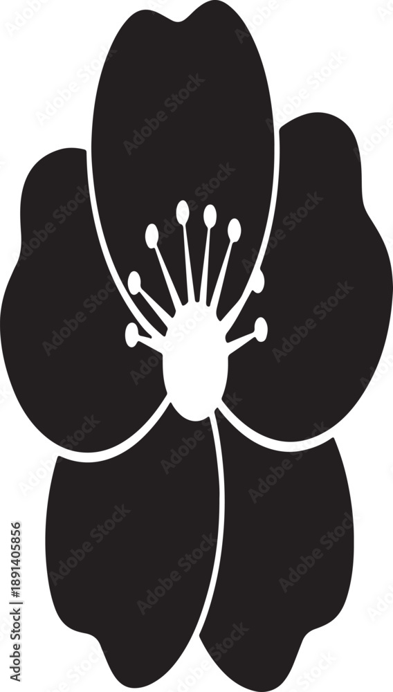 Obraz premium Black and white flower silhouette isolated on transparent background elegant design for various artistic and design projects