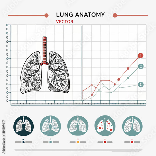Detailed illustration of human lung anatomy with anatomical diagrams and graphs depicting respiratory health and function
