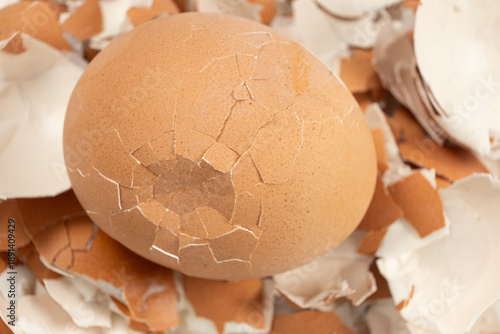 Photos Broken shell texture, macro shot of a hard boiled egg.