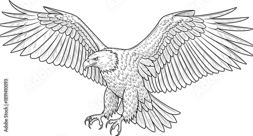 Flying eagle illustration with spread wings, detailed black white hand drawn bird artwork for wildlife, freedom, tattoo, emblem designs