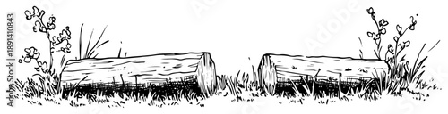 Wooden logs on grass meadow vector illustration, hand drawn sketch of fallen tree trunks in nature for forest or wood industry design