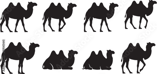 Set of 8 camel silhouettes vector isolated PNG with Transparent Background