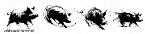 Chinese new year pig zodiac brush painting with dynamic ink strokes on white background
