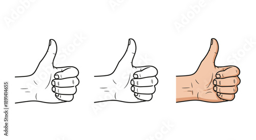 Set of three hand illustrations showing a thumbs-up gesture, presented in outline, line art, and full color vector styles.